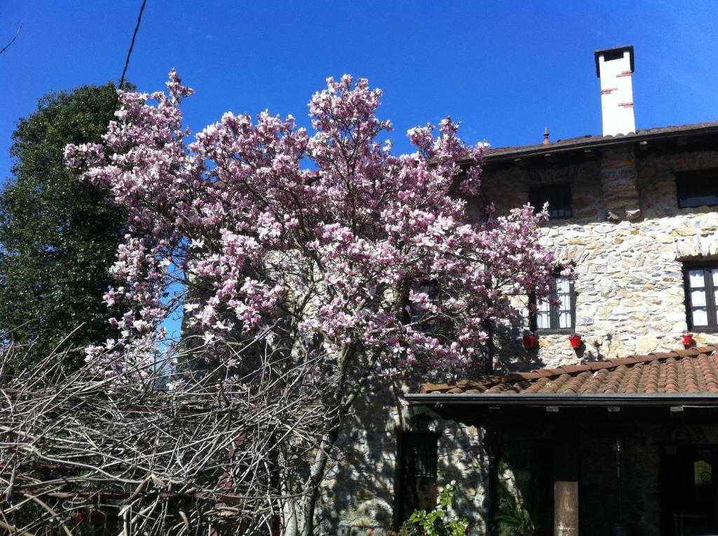 Agroturismo Izarre Hotel Errezil Exterior photo